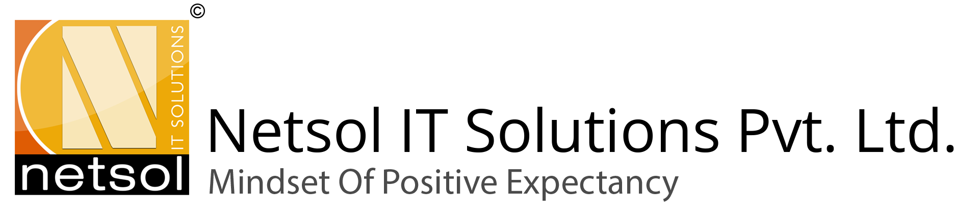 Netsol IT Solutions Logo